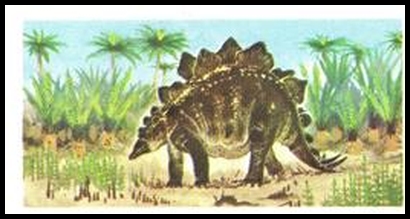19 Stegosaurus